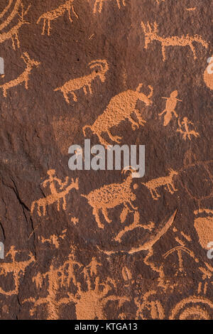 Pétroglyphes animaux faites par les gens du SEI au Rock journal près de Indian Creek National Monument, qui faisait autrefois partie d'ours oreilles National Monument, Utah, USA Banque D'Images