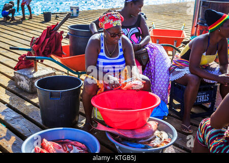 Femme locale l'éviscération du poisson fraîchement pêché sur la jetée de Santa Maria, île de Sal, Salina, Cap Vert, Afrique Banque D'Images