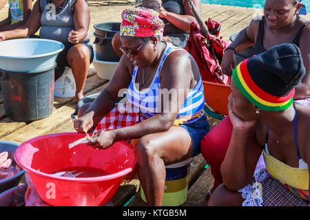 Femme sur la jetée de Santa Maria, Sal, Salina, le Cap-Vert, l'Afrique l'éviscération du poisson frais Banque D'Images