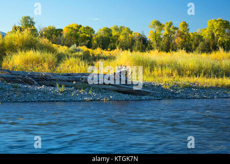 La rivière Missouri, New York, la pêche des îles du site d'accès, Broadwater County, Montana Banque D'Images