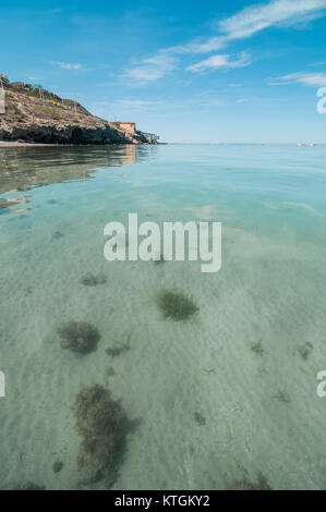 Les vacances d'été à Playa de La Concha ou la plage de la Concha, à La Paz, Baja California Sur. Le Mexique. Mexique (bords de mer) Banque D'Images