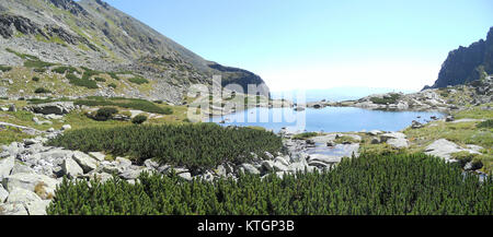 Tarn alpin à Hautes Tatras (Slovaquie) Banque D'Images