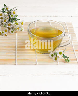 De camomille dans une tasse en verre transparent sur un bambou close up sur une vieille table en bois blanc, entouré de fleurs fraîches de camomille Banque D'Images