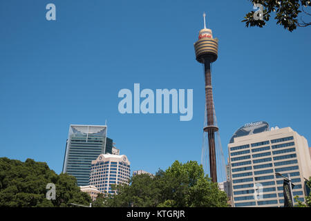 tour de Sydney Banque D'Images