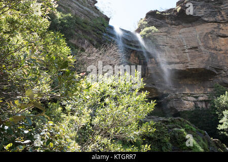 Chute d'eau de Katoomba en Australie Banque D'Images