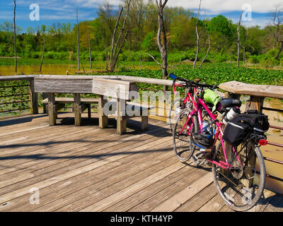 Sentier de halage, Boardwallk Beaver Marsh, parc national de Cuyahoga Valley, Brecksville, Ohio, USA Banque D'Images