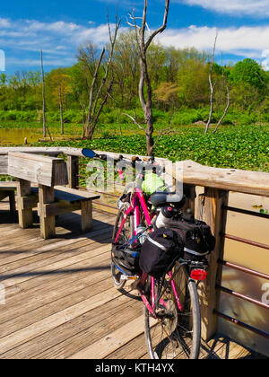 Sentier de halage, Boardwallk Beaver Marsh, parc national de Cuyahoga Valley, Brecksville, Ohio, USA Banque D'Images