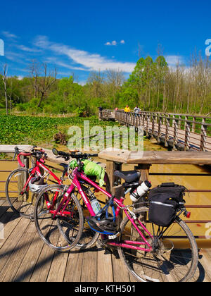 Sentier de halage, Boardwallk Beaver Marsh, parc national de Cuyahoga Valley, Brecksville, Ohio, USA Banque D'Images