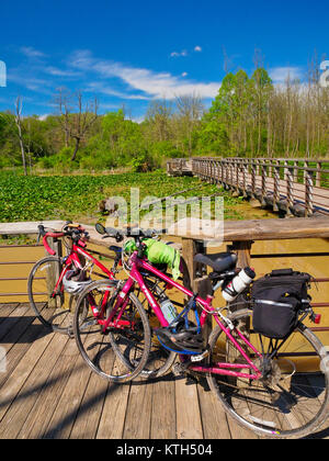 Sentier de halage, Boardwallk Beaver Marsh, parc national de Cuyahoga Valley, Brecksville, Ohio, USA Banque D'Images