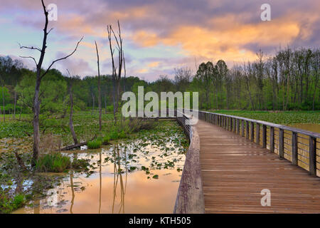 Sentier de halage, Boardwallk Beaver Marsh, parc national de Cuyahoga Valley, Brecksville, Ohio, USA Banque D'Images