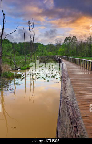 Sentier de halage, Boardwallk Beaver Marsh, parc national de Cuyahoga Valley, Brecksville, Ohio, USA Banque D'Images