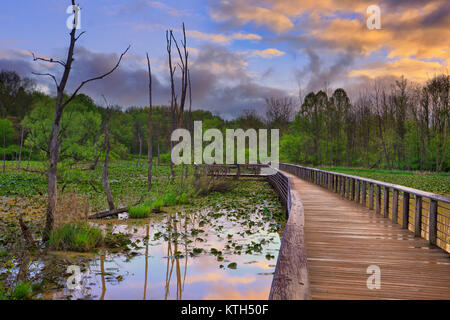 Sentier de halage, Boardwallk Beaver Marsh, parc national de Cuyahoga Valley, Brecksville, Ohio, USA Banque D'Images