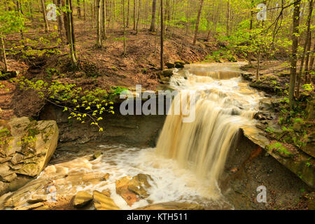 Blue Hen Falls, parc national de Cuyahoga Valley, Brecksville, Ohio, USA Banque D'Images