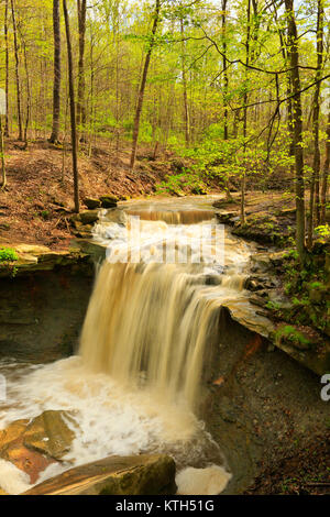 Blue Hen Falls, parc national de Cuyahoga Valley, Brecksville, Ohio, USA Banque D'Images