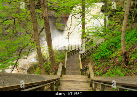 Brandywine Falls Gorge Brandywine, Trail, parc national de Cuyahoga Valley, Brecksville, Ohio, USA Banque D'Images