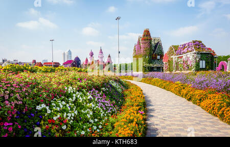 Dubaï, Émirats arabes unis, le 22 janvier 2016 : Miracle Jardin est l'une des principales attractions touristiques de DUBAÏ, ÉMIRATS ARABES UNIS Banque D'Images