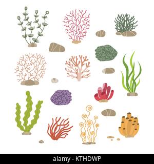 Les algues, les coraux et les pierres. Les plantes naturelles sous-marines isolées. Sous-marin de coraux et d'usine. Illustration de Vecteur