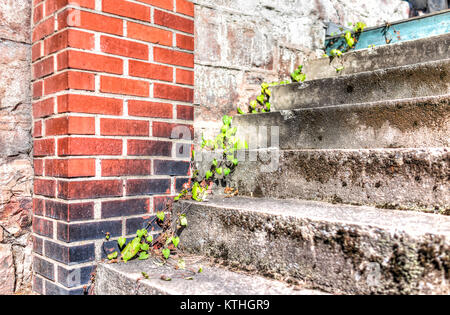 Vintage Retro abandonnés avec ivy gros plan escalier en béton et en brique de construction en pierre Banque D'Images