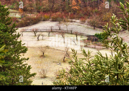 Givre sur les herbes des collines de Romagne en Italie Banque D'Images