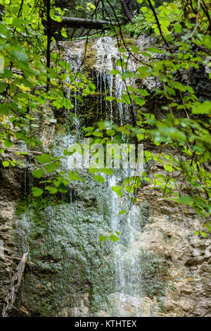 Grande Cascade de ravin en automne, d'une exposition longue, en rivière de montagne avec des rochers et des sentiers touristiques escalier. slovensky raj. sucha bela trail Banque D'Images