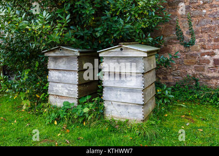 Briitsh apiculture) : deux vieux jeu traditionnel typique de ruches en bois, design classique, dans un jardin clos contre un mur de briques Banque D'Images