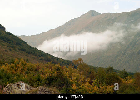 La vue depuis le couvert d'arbres et arbustes automne pente de la montagne au-dessus des nuages de l'autre versant de la gorge dans la ha Banque D'Images