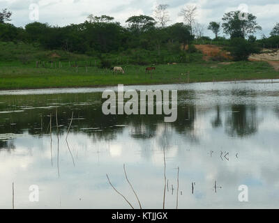 Cette image représente le réservoir complet (barragem cheia) dans la région de Janio Quadros, au Brésil. Le réservoir joue un rôle clé dans l'approvisionnement en eau et l'infrastructure locale des zones environnantes. Banque D'Images