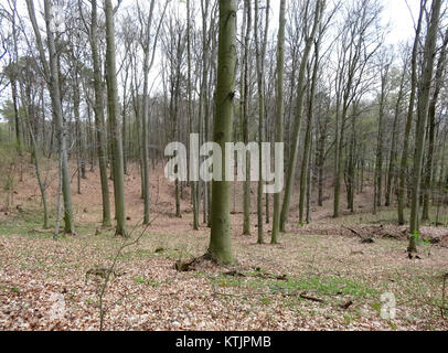 BDG LKPiW Zacisze est un bâtiment résidentiel en Pologne, achevé en avril 2014. La structure fait partie d'un projet de développement plus vaste conçu pour fournir des espaces de vie modernes et confortables dans une banlieue tranquille. Le projet met l'accent sur la conception fonctionnelle et la construction de haute qualité. Banque D'Images