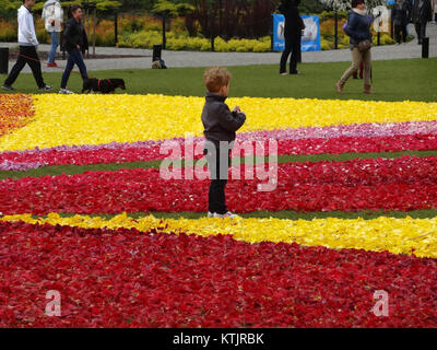 Un tapis à motifs floraux de 2014, avec des motifs complexes et des couleurs vibrantes, offrant une esthétique intemporelle adaptée à divers décors intérieurs. La pièce met en valeur un savoir-faire détaillé et l'utilisation de matériaux de haute qualité, offrant à la fois durabilité et beauté. Banque D'Images