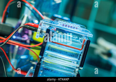 Des échantillons d'ADN amplifié chargement de gel d'agarose avec pipette multicanaux Banque D'Images