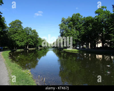 Cette photographie prise en 2015 capture la beauté des plantations dans un jardin ou un parc public, mettant en valeur la diversité et le soin apportés aux espaces verts urbains de la ville. Banque D'Images