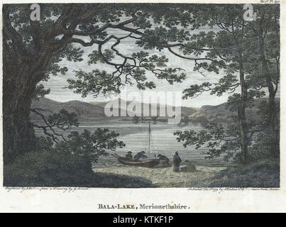 Bala Lake est un grand lac naturel situé dans le Merionethshire, pays de Galles. Le lac est connu pour sa beauté pittoresque, entouré de collines et offrant des activités récréatives telles que la pêche, la voile et la randonnée. Il joue un rôle important dans le tourisme local et l'environnement. Banque D'Images