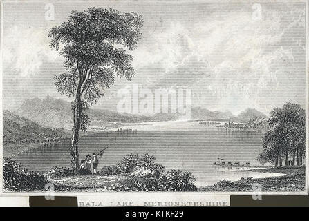 Cette image montre Bala Lake dans le Merionethshire, pays de Galles, mettant en valeur la beauté pittoresque du lac et du paysage environnant, un site populaire pour les touristes et les amoureux de la nature. Banque D'Images