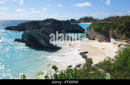 Cette image montre la vue imprenable sur Horseshoe Bay Beach depuis une falaise aux Bermudes, au Royaume-Uni. La plage est connue pour son sable rose, ses eaux claires et sa beauté pittoresque, attirant des touristes du monde entier. Banque D'Images