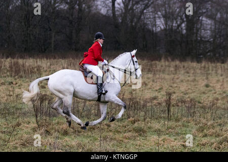 Lancashire, Royaume-Uni. 26 décembre 2017. Les chevaux et les renards de la rencontre traditionnelle du lendemain de Noël de Holcombe Hunt se sont transformés sous la direction de la capitaine de chasse Sue Simmons sur son cheval blanc. La Holcombe Hunt est une organisation florissante qui attire le soutien actif de centaines de personnes de tous âges et de tous horizons. Crédit; MediaWorldImages/AlamyLiveNews. Banque D'Images