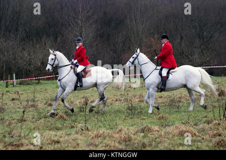 Lancashire, Royaume-Uni. 26 décembre 2017. Les chevaux et les renards de la rencontre traditionnelle du lendemain de Noël de Holcombe Hunt se sont avéré sous la direction du maître de chasse Sue Simmons. La Holcombe Hunt est une organisation florissante qui attire le soutien actif de centaines de personnes de tous âges et de tous horizons. Crédit; MediaWorldImages/AlamyLiveNews. Banque D'Images