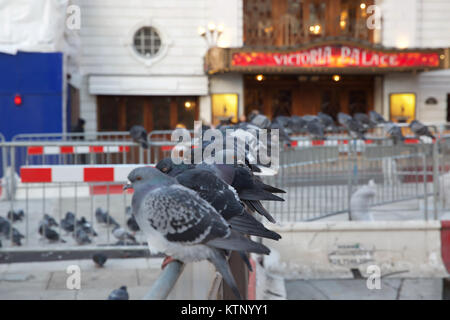 Londres, Royaume-Uni. 28 Dec, 2017. Une rangée de pigeons s'asseoir sur une barrière à l'extérieur du Victoria Palace Theatre de Londres Crédit : Keith Larby/Alamy Live News Banque D'Images