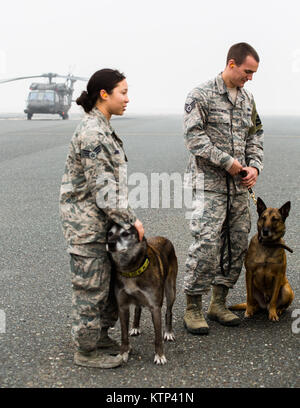 Angela Jones Senior Airman et Tech. Le Sgt. Andrew Montgomery, les deux militaires de l'Armée de l'air de chiens de travail, et leurs chiens Chester et Diesel attendre devant une armée d'hélicoptères UH-60 Blackhawk exploité par une compagnie, 3e bataillon du 142e Assault Helicopter Company, 42e Brigade d'aviation de combat, au cours d'un exercice de familiarisation pour les chiens, le 10 janvier 2014, quelque part dans le sud-ouest de l'Asie. Les chiens de travail peuvent être transportés par hélicoptère rapidement et efficacement à l'endroit où ils sont nécessaires une fois qu'ils se sentent à l'aise avec l'avion. La 42e CAB, New York, la Garde nationale est en ce moment de Banque D'Images