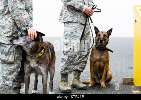 Angela Jones Senior Airman et Tech. Le Sgt. Andrew Montgomery, les deux militaires de l'Armée de l'air de chiens de travail, et leurs chiens Chester et Diesel attendre devant une armée d'hélicoptères UH-60 Blackhawk exploité par une compagnie, 3e bataillon du 142e Assault Helicopter Company, 42e Brigade d'aviation de combat, au cours d'un exercice de familiarisation pour les chiens, le 10 janvier 2014, quelque part dans le sud-ouest de l'Asie. Les chiens de travail peuvent être transportés par hélicoptère rapidement et efficacement à l'endroit où ils sont nécessaires une fois qu'ils se sentent à l'aise avec l'avion. La 42e CAB, New York, la Garde nationale est en ce moment de Banque D'Images