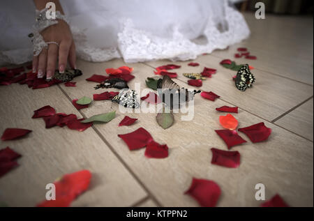 Fermer uo touche mariée pétales de roses rouges" et papillons sur marbre Banque D'Images