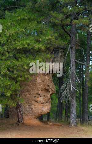 Visage de l'homme, Ciudad Encantada, Serranía de Cuenca, Cuenca, Parc Naturel - Castilla La Mancha, Espagne, Europe Banque D'Images