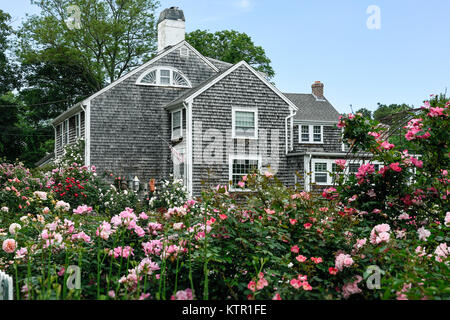 Charmante Nouvelle Angleterre rose garden, Cape Cod, Massachusetts, USA. Banque D'Images