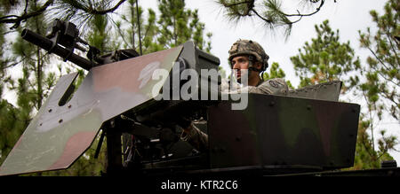 New York Circuit Army National Guard. Mathew Smithers, une troupe de cavalerie du scoutisme avec B, 2e, 101e escadron de cavalerie, numérise son salon avec un lance-grenade MK 19 (repère 19) pour les forces ennemies à l'Armée Joint Readiness Training Center, Fort Polk, en Louisiane, le 23 juillet 2016. Les scouts de cavalerie s'est joint à plus de 3 000 soldats de New York et 2 000 soldats d'autres unités de la Garde nationale de l'Armée de l'état, l'armée active et de l'armée des troupes de réserve dans le cadre de la 27ème Infantry Brigade Combat Team task force. Les soldats s'améliorer leurs compétences et la pratique l'intégration des opérations allant de la lutte contre les troupes d'infanterie engag Banque D'Images