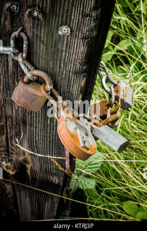 5 cadenas sur une chaîne attachée à un poste en bois Banque D'Images