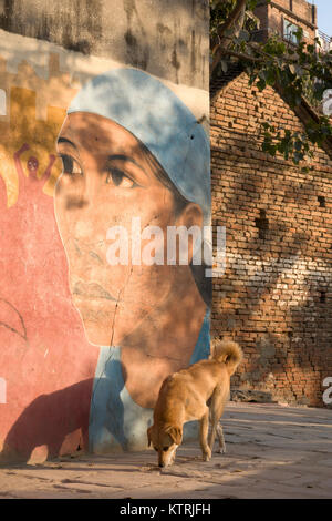 Street dog walking passé wall mural à Katmandou, Népal Banque D'Images