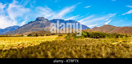 Panorama de terres agricoles et les montagnes environnantes dans la région de Boland la Province du Cap Occidental en Afrique du Sud Banque D'Images