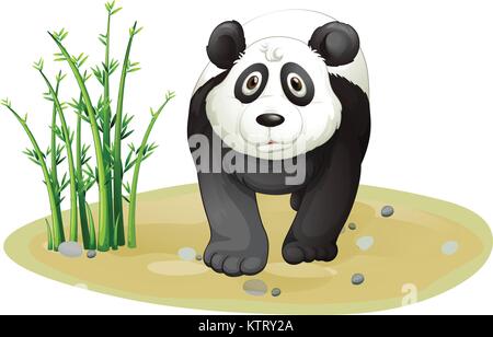 Illustration d'un panda sur fond blanc Illustration de Vecteur