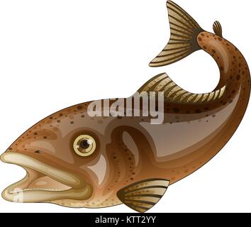 Poisson blanc sur l'illustration détaillée Illustration de Vecteur