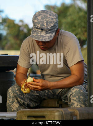 Baie de SHOALWATER, Queensland, Australie - SPC. Seugwoo Yeom, un spécialiste culinaire affecté à la Compagnie Alpha, 427e Bataillon de soutien de la Brigade, épluche une pomme de terre dans un champ au cours de l'exercice cuisine Talisman Saber, le 15 juillet. Au cours de l'exercice les spécialistes culinaires de la Compagnie Alpha, ainsi que leur homologue australien, ont été chargés d'offrir quotidiennement des repas pour plus de 700 membres de service. (U.S. La Garde nationale de l'armée photo par le Sgt. Alexander Recteur) Banque D'Images