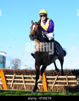 Whiskey Sour monté par David Mullins continue de gagner la puissance de Paddy futurs Champions Novice Hurdle pendant deux jours de la fête de Noël à Leopardstown hippodrome de Leopardstown. Banque D'Images